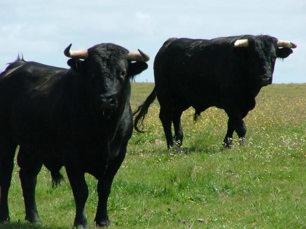 Herdade Do Gizo กูบา ภายนอก รูปภาพ